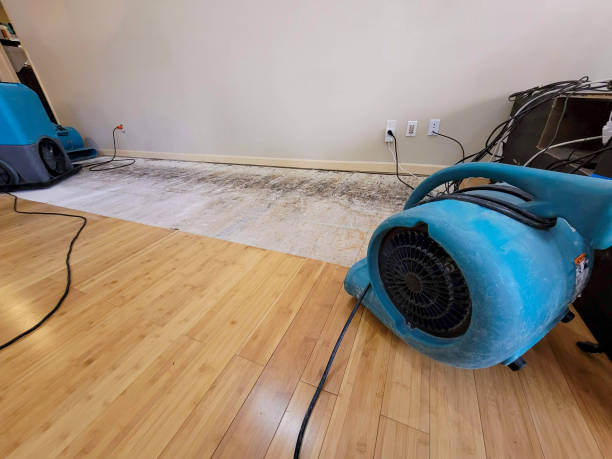 Professional Sewage Cleanup technician working in Rollinsford, NH